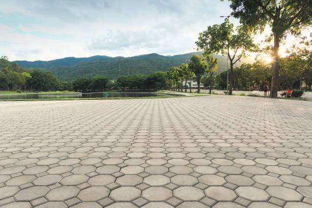 Best Professional Driveway Pavers  in Northfield, KY